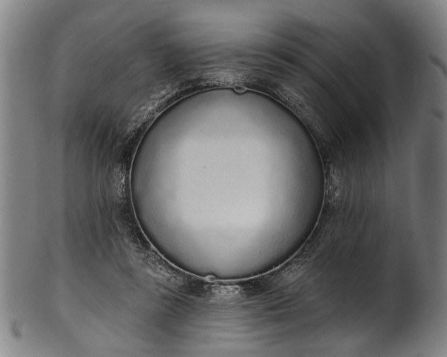 X0000101230355200807111125