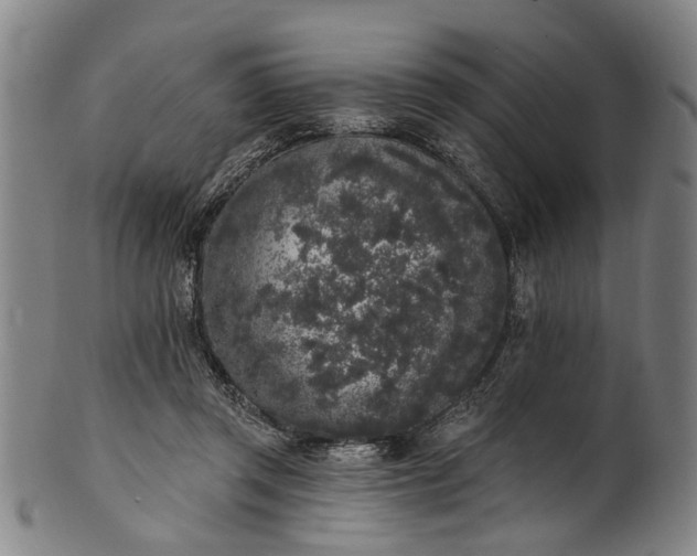 X0000101230357200807111125