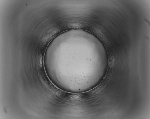 X0000101230358200807111125