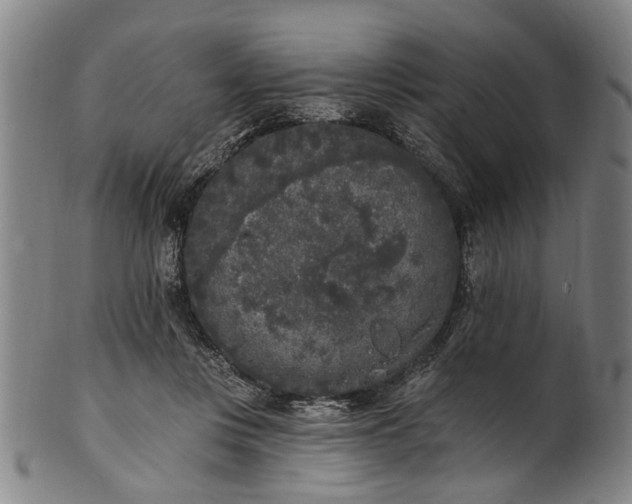 X0000101230359200807111125