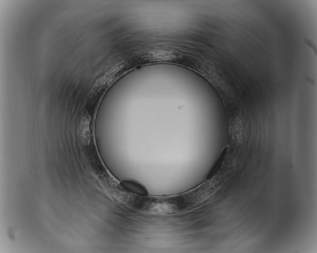 X0000101230360200807111125