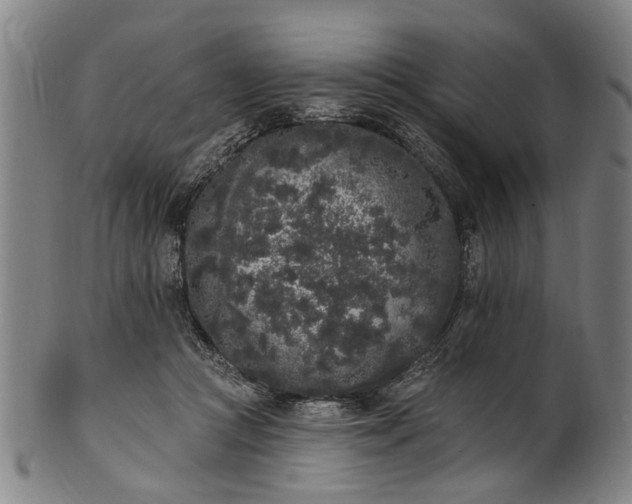 X0000101230361200807111125