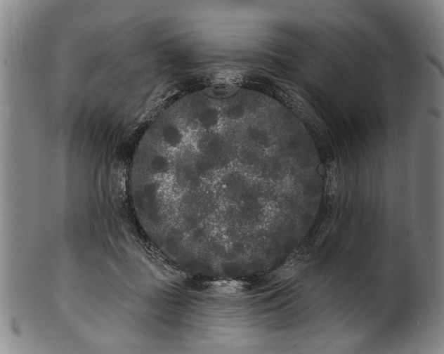 X0000101230363200807111125