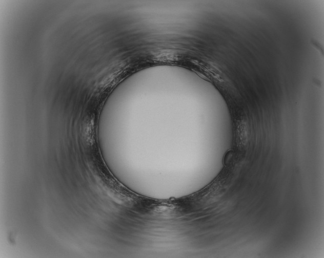 X0000101230364200807111126