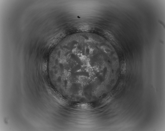 X0000101230365200807111126