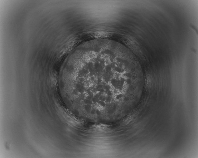 X0000101230367200807111126