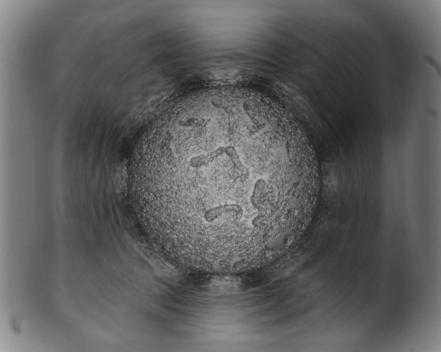 X0000101230369200807111126