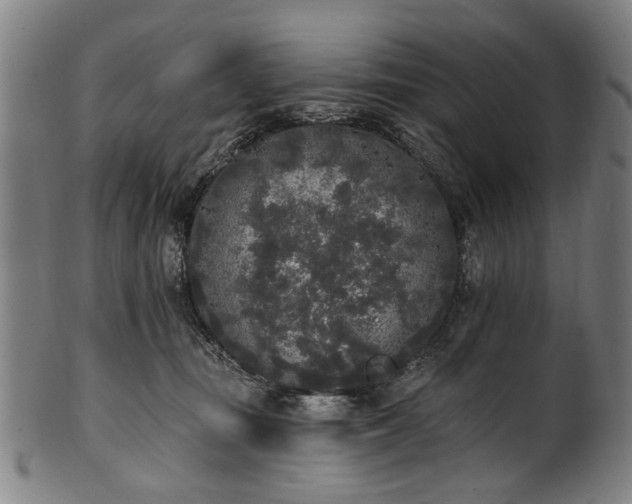 X0000101230371200807111126