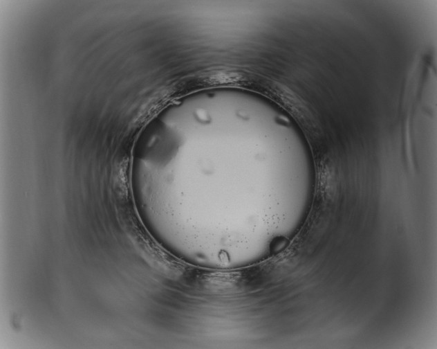 X0000101230373200807111126