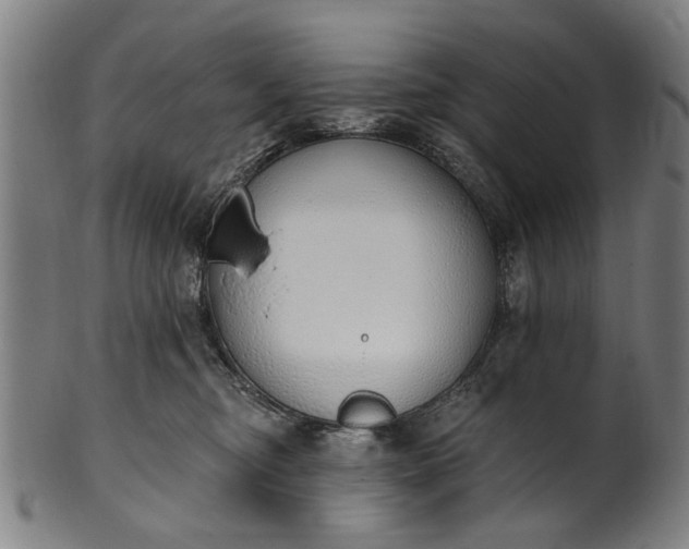 X0000101230374200807111126