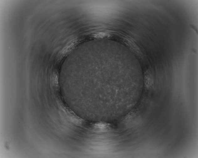 X0000101230375200807111126