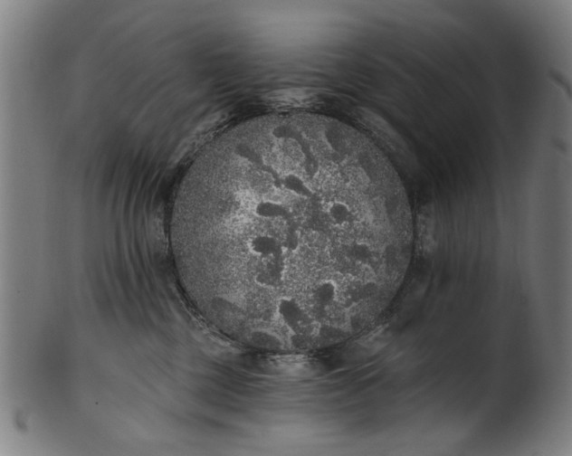 X0000101230377200807111126