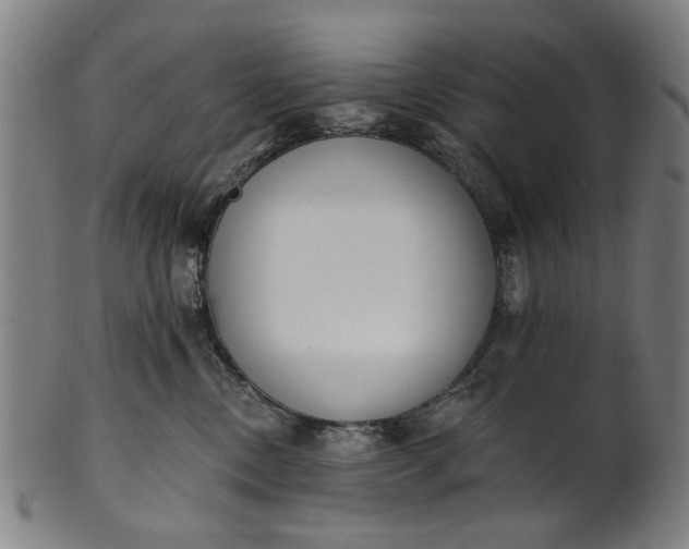 X0000101230378200807111126