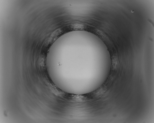 X0000101230379200807111126