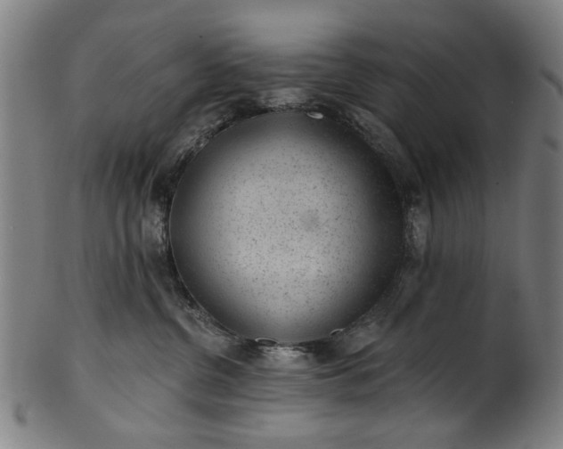 X0000101230380200807111126