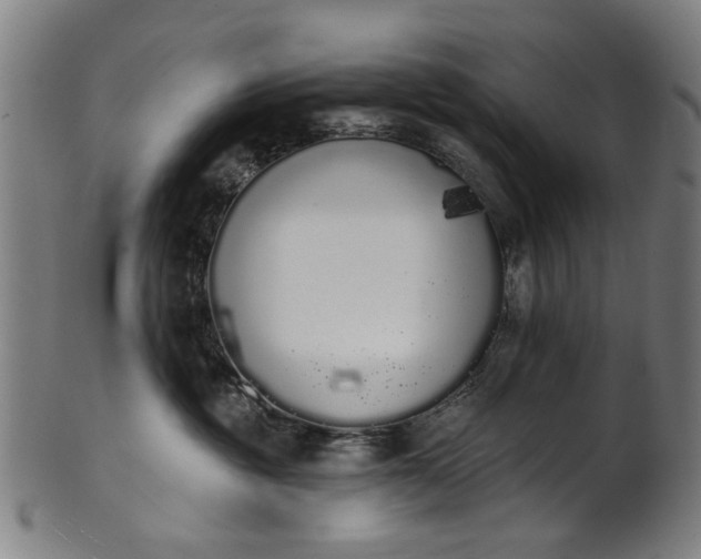 X0000101230381200807111126