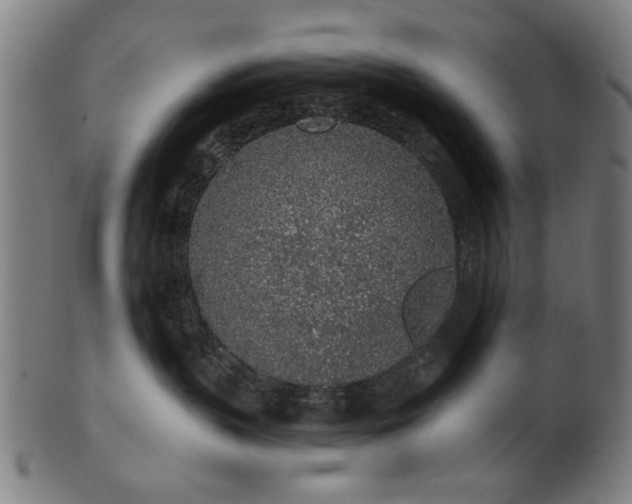 X0000101230383200807111126