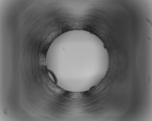 X0000101230384200807111126