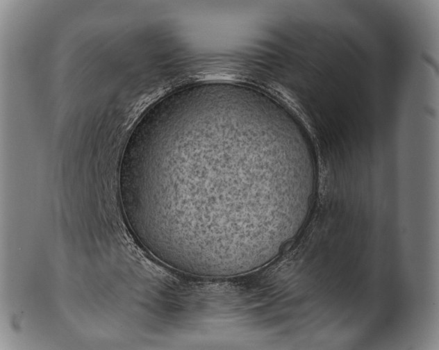 X0000101230385200807111125