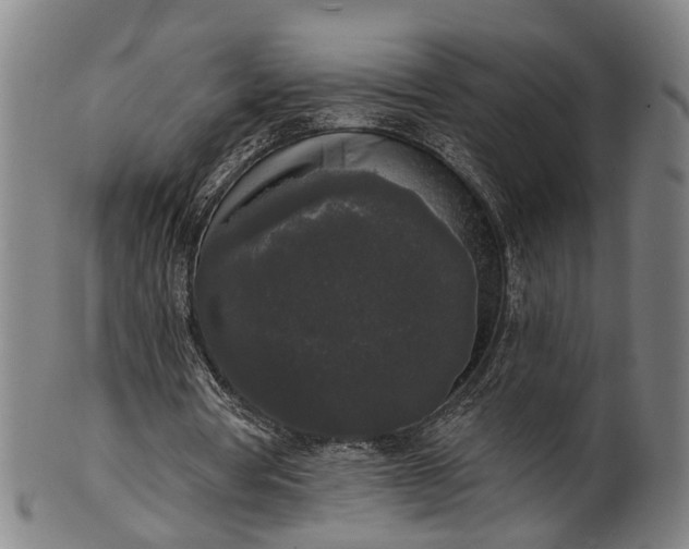 X0000101230386200807111125