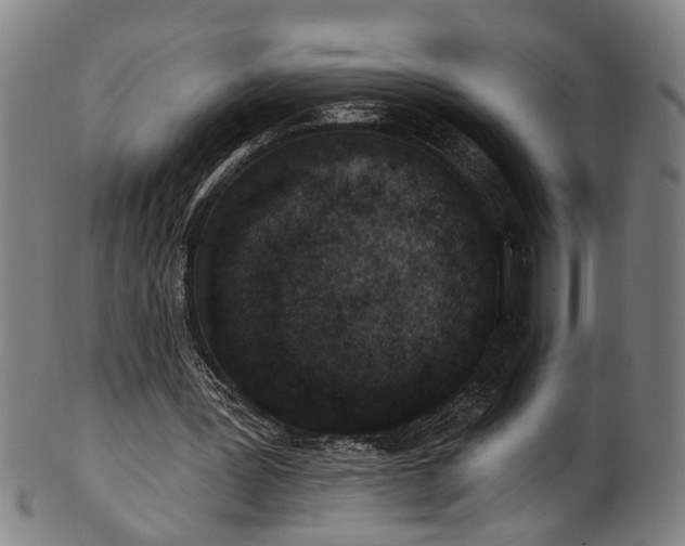 X0000101230387200807111125