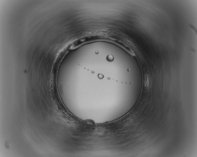 X0000101230388200807111125