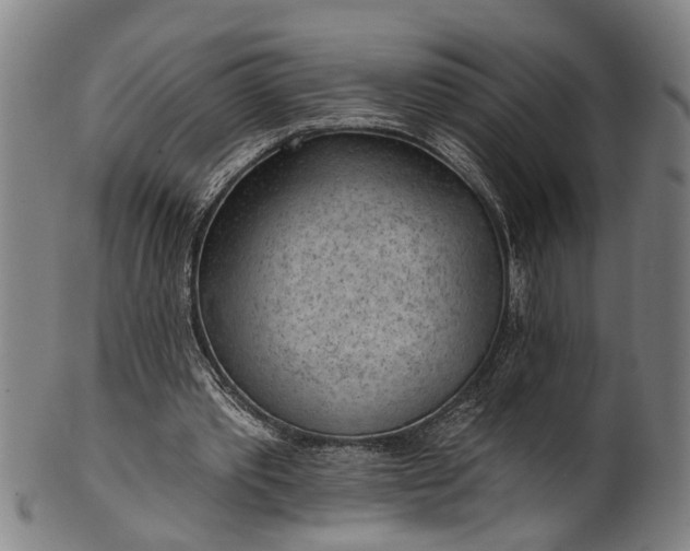 X0000101230389200807111125