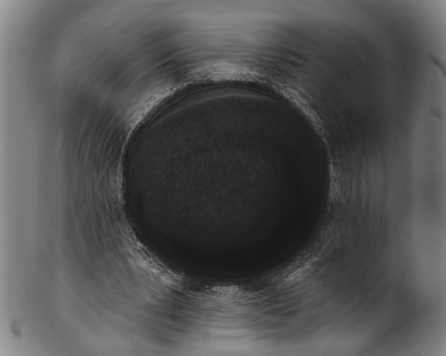 X0000101230391200807111125