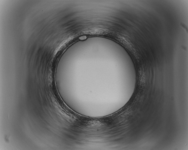 X0000101230392200807111125