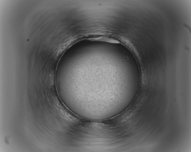 X0000101230393200807111125