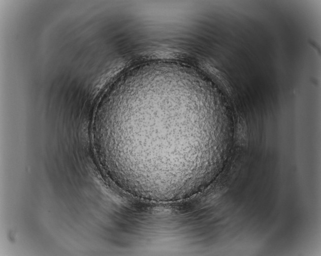 X0000101230394200807111125