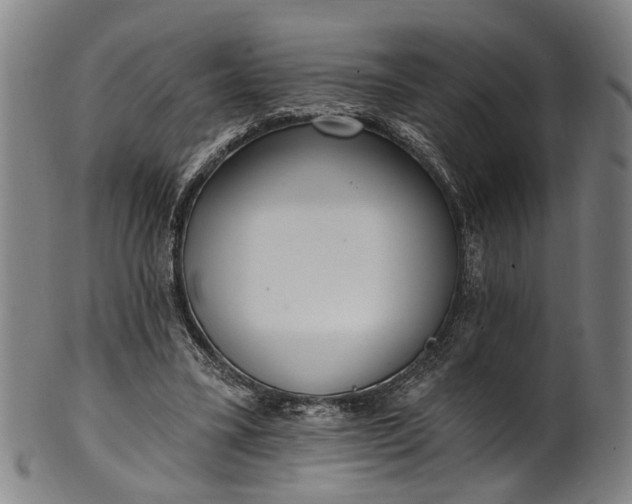 X0000101230395200807111125