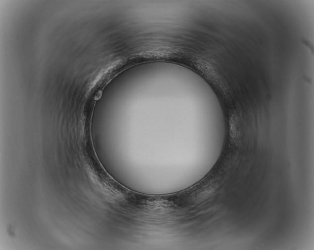 X0000101230396200807111125