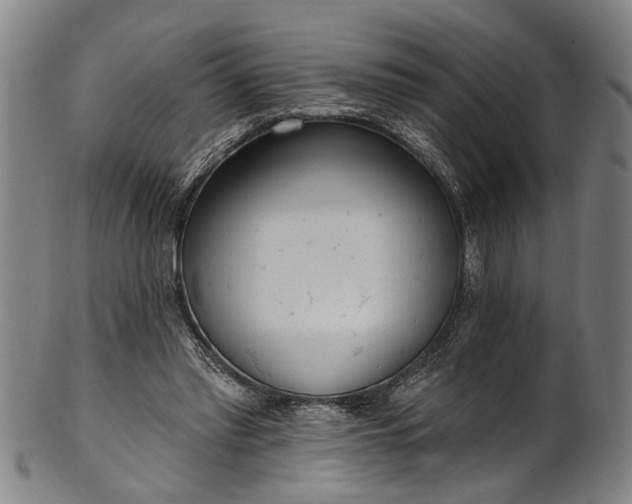 X0000101230397200807111125