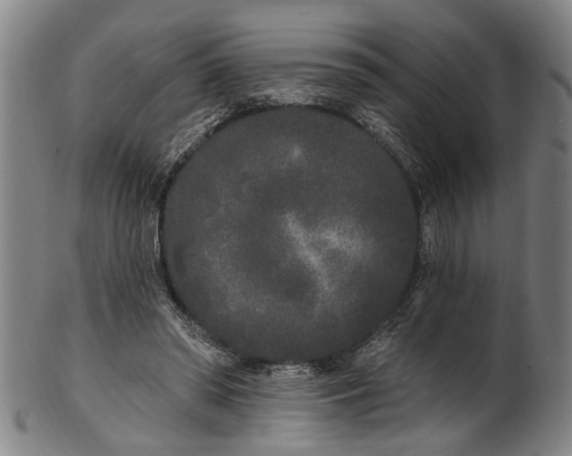 X0000101230398200807111125