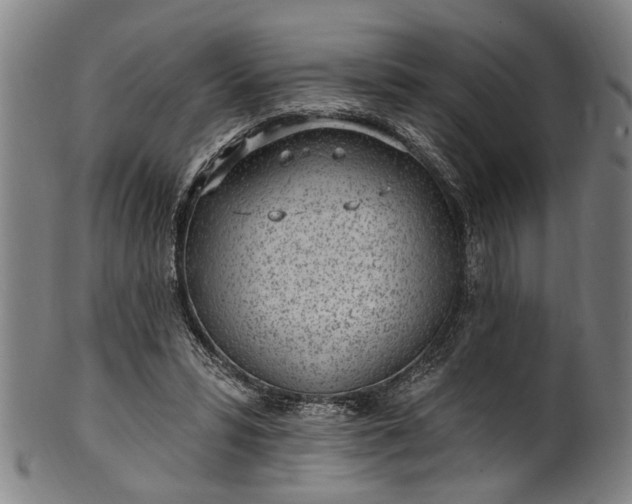 X0000101230399200807111125