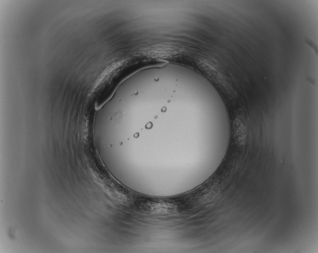 X0000101230400200807111125