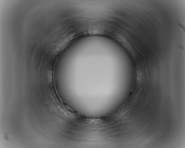 X0000101230401200807111125