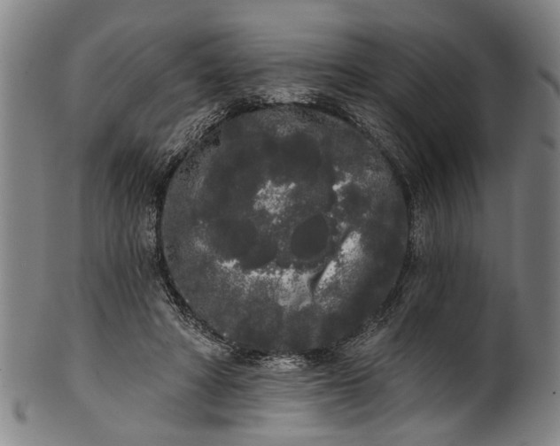 X0000101230402200807111125