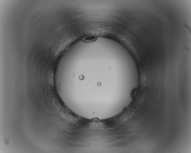 X0000101230403200807111125