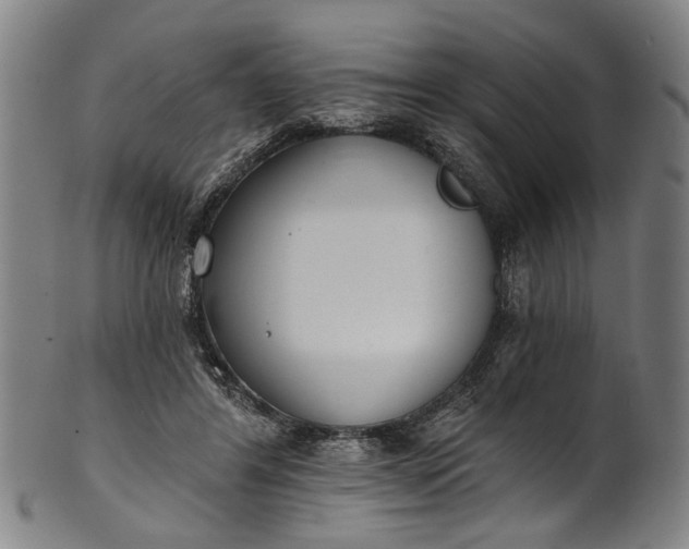 X0000101230404200807111125