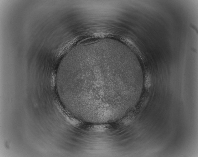 X0000101230405200807111125