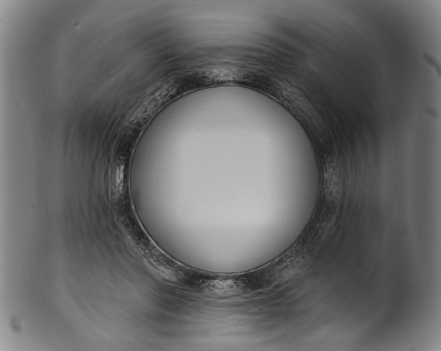 X0000101230406200807111125