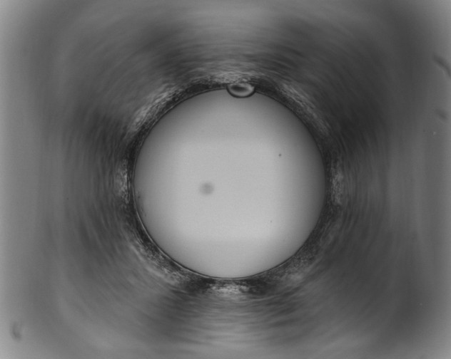 X0000101230407200807111125