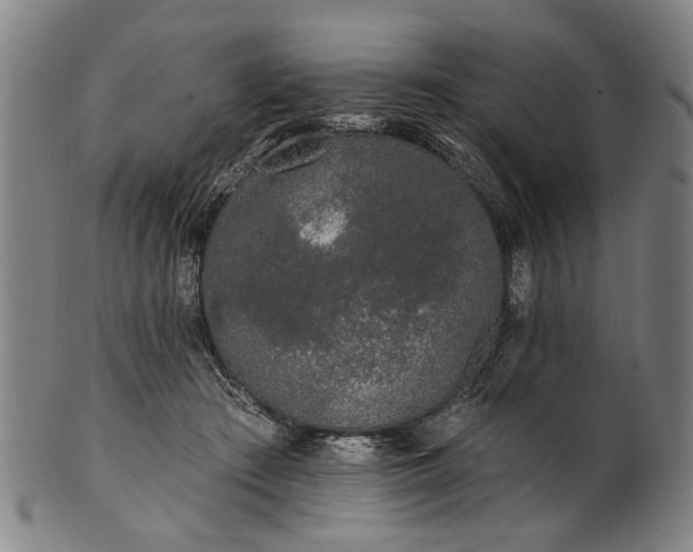 X0000101230409200807111125