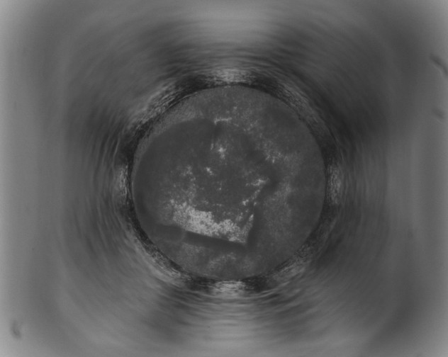 X0000101230410200807111125