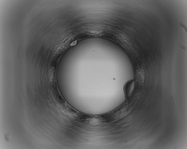 X0000101230412200807111125