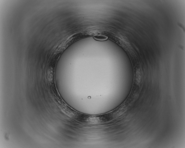 X0000101230413200807111125