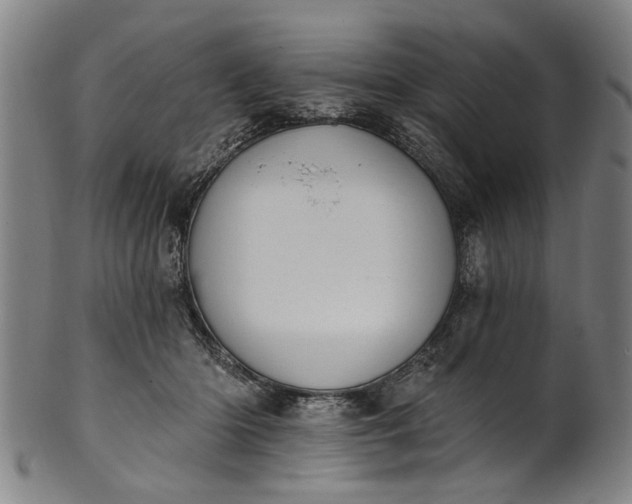 X0000101230414200807111125