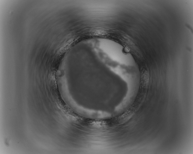 X0000101230415200807111125